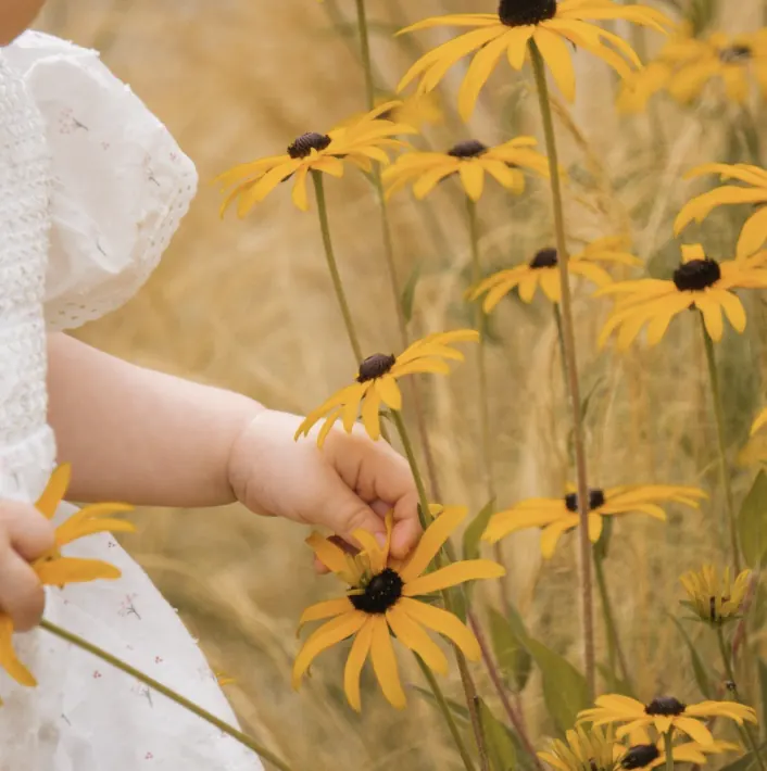 Child reaching for a flower in warm natural light